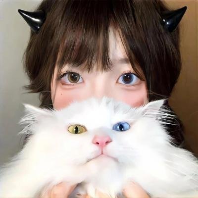 探长薇拉第十四季